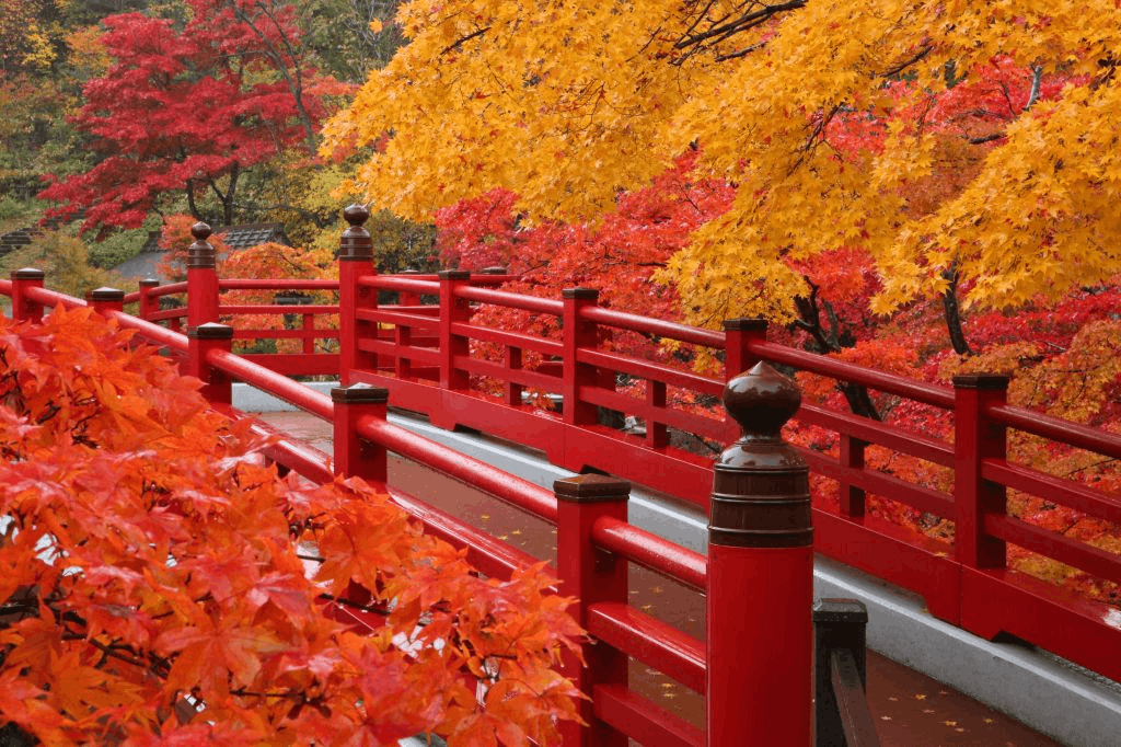 彌彥公園